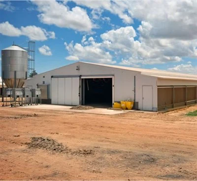 Кућа живине за 10000 пилића